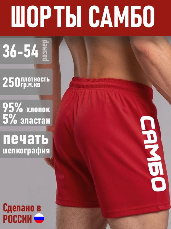 Шорты САМБО-2 Красные